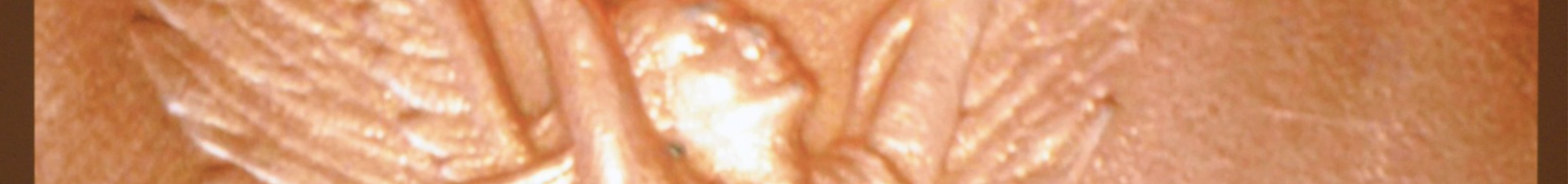 Claudio Correa